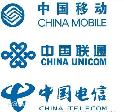 中國除了三大運營商外的基礎電信業務提供商