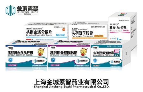 副省長王桂英赴金城醫藥調研 聚焦合成生物學與食品藥品安全，助力新興產業筑基